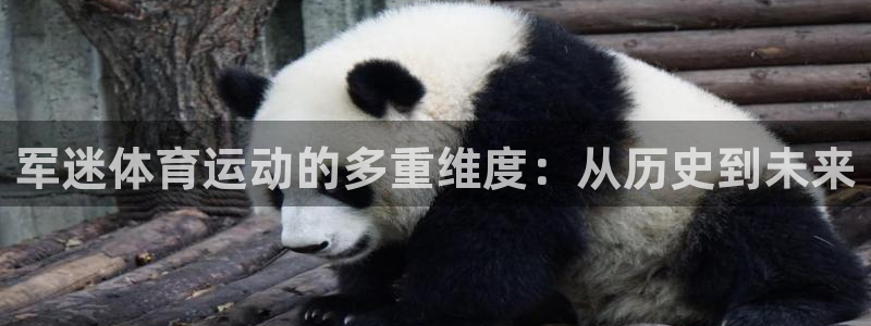 哈哈体育十年