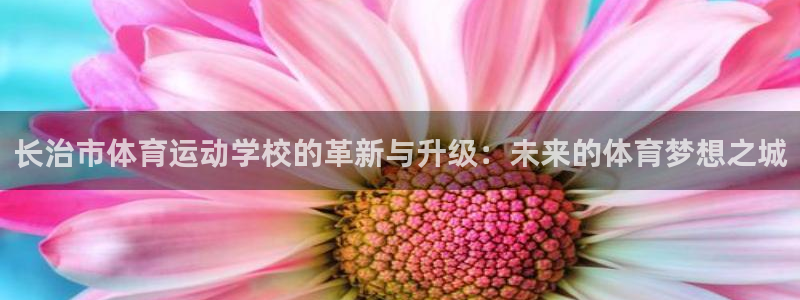 哈哈体育下载