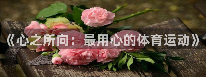 哈哈体育十年