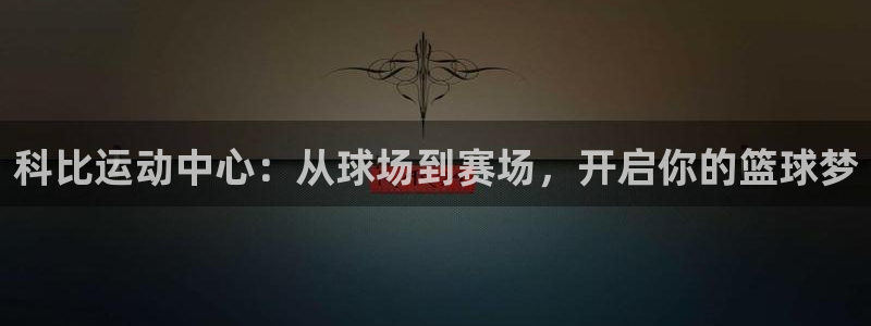 哈哈体育十年