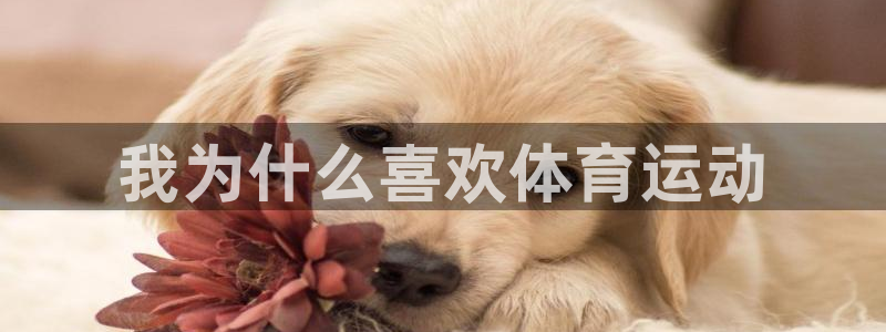 哈哈体育下载