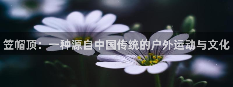 哈哈体育十年