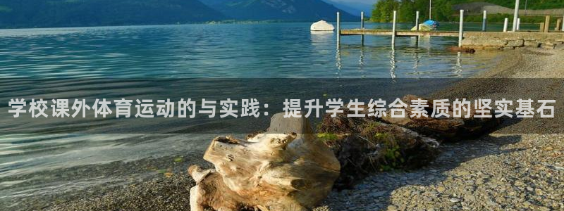 哈哈体育十年