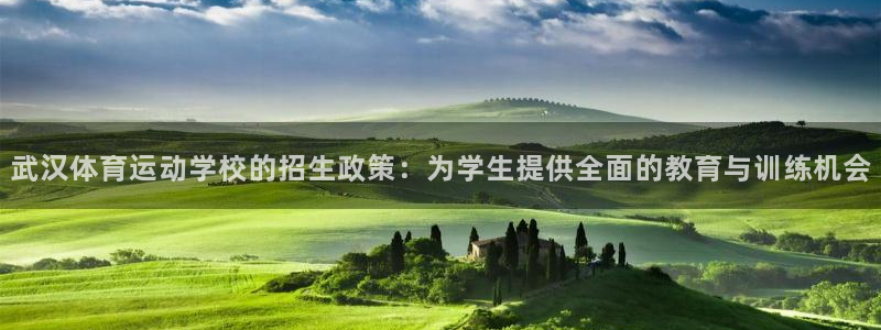 哈哈体育十年