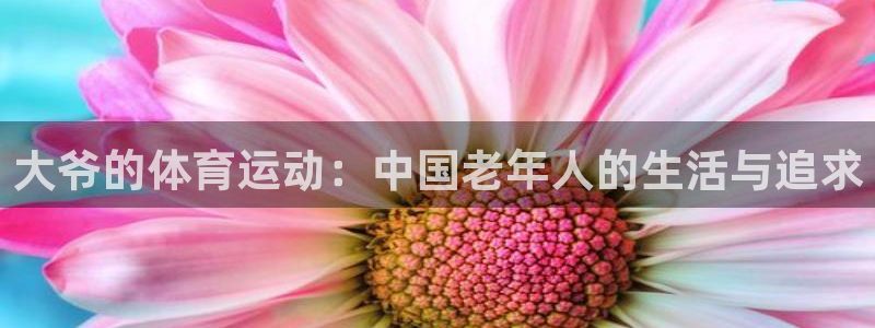 哈哈体育十年