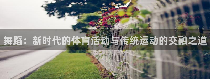 哈哈体育下载