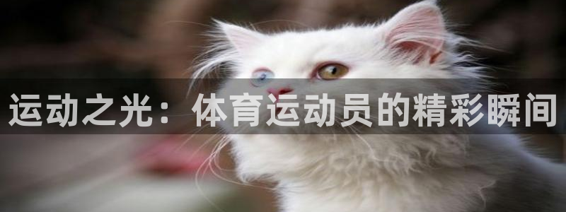 哈哈体育十年