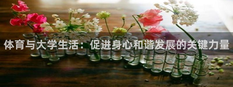 哈哈体育