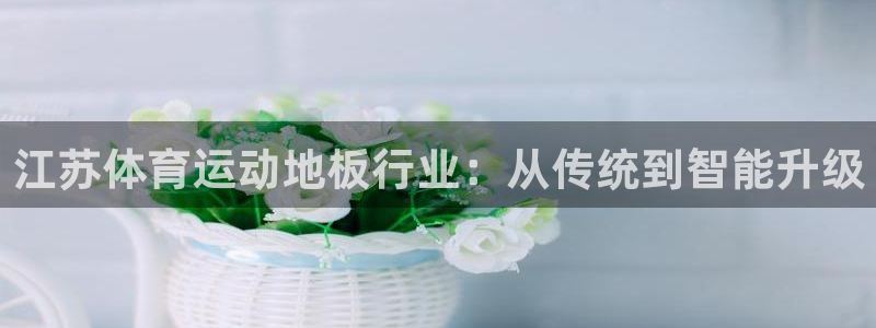 哈哈体育十年