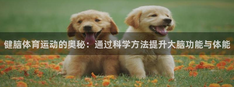 哈哈体育